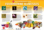 Get a free Food Testing Poster