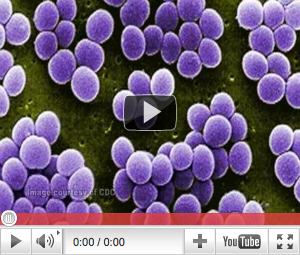 Staphylococcus Aureus Video